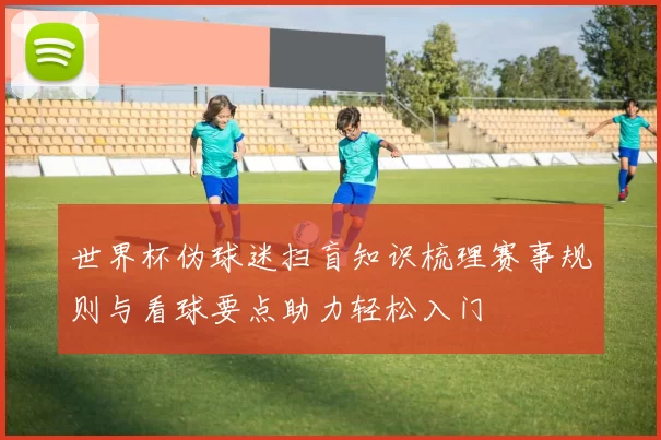 世界杯伪球迷扫盲知识梳理赛事规则与看球要点助力轻松入门