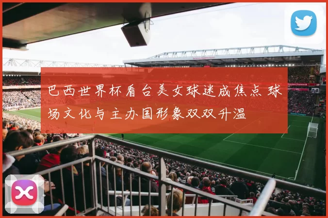 巴西世界杯看台美女球迷成焦点 球场文化与主办国形象双双升温