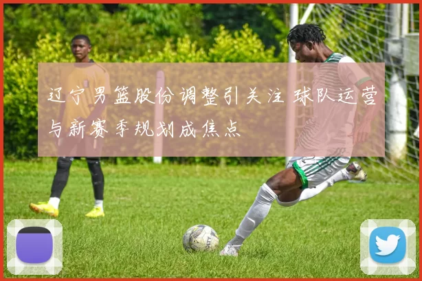 辽宁男篮股份调整引关注 球队运营与新赛季规划成焦点